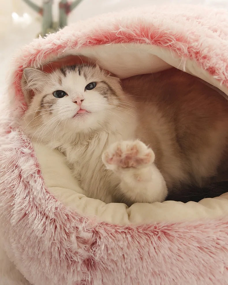 2 In 1 Long Plush Pet Bed